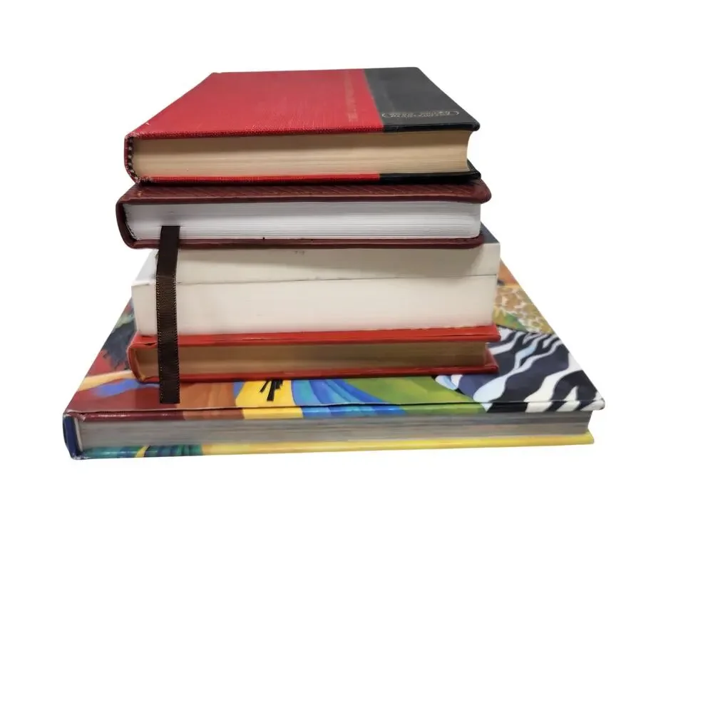 Lot Of 6 Assorted Christian Christianity Religious Book Bundle with 2017 Journal